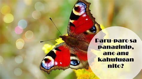 7 Kahulugan ng Paru paro sa Panaginip .